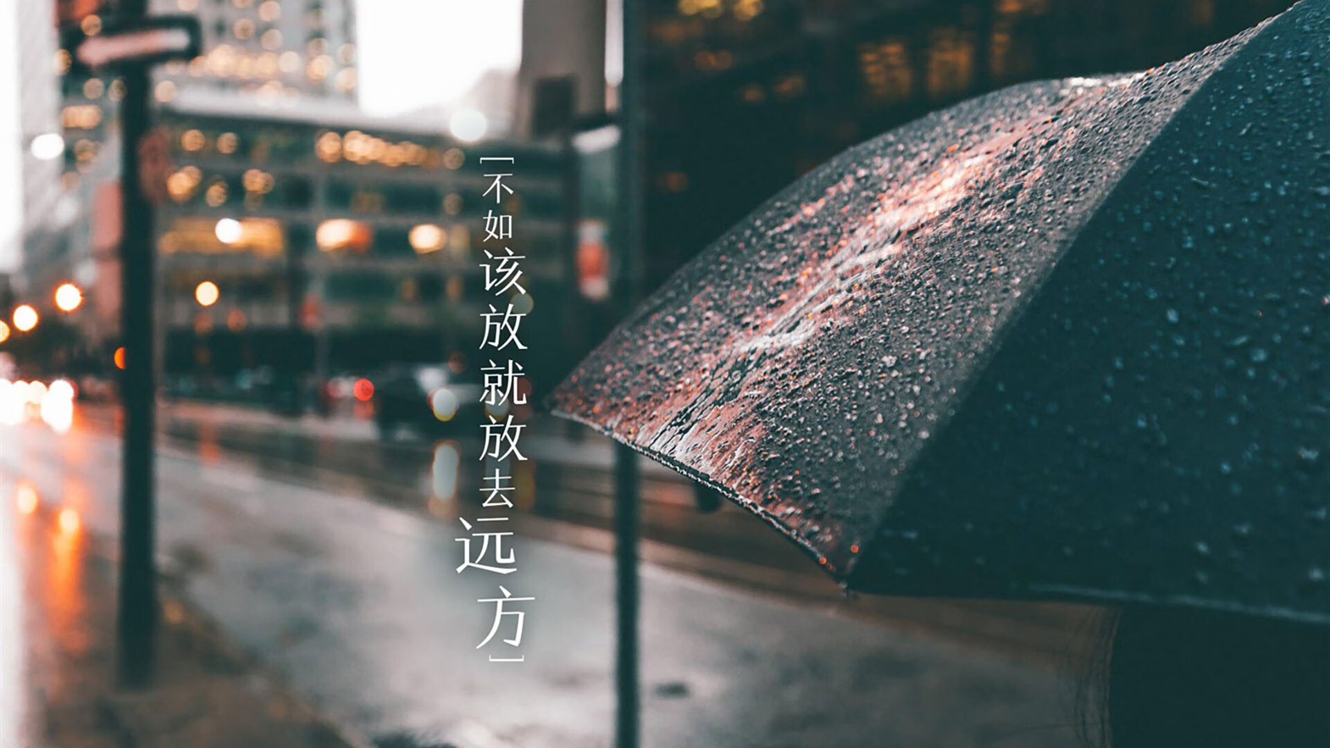 “全场焦点:明星球员的精彩表现点燃现场气氛”,明星球员图片