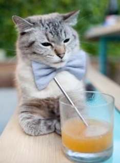 德甲战场，比分4-3，比赛由精彩反击引爆，角球15个，控球率65%，德甲比赛集锦